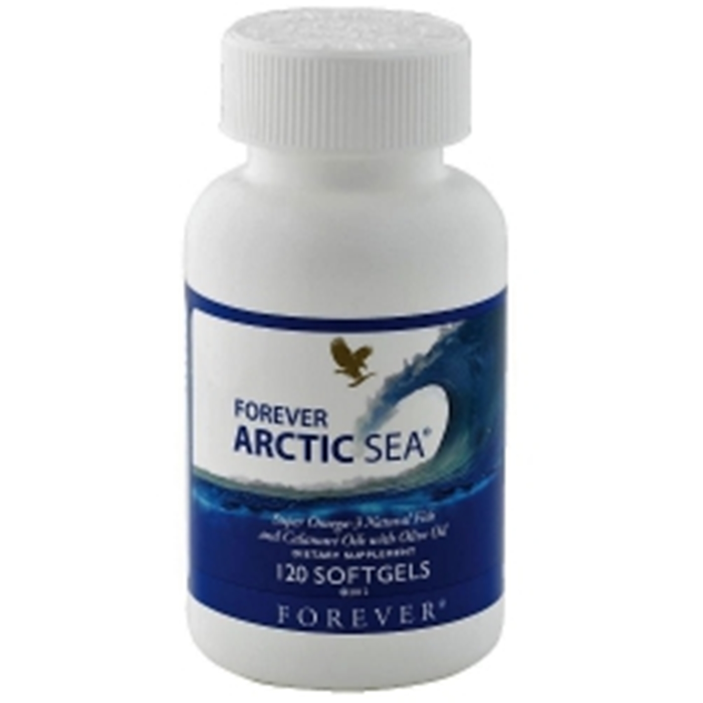 Arctic Sea