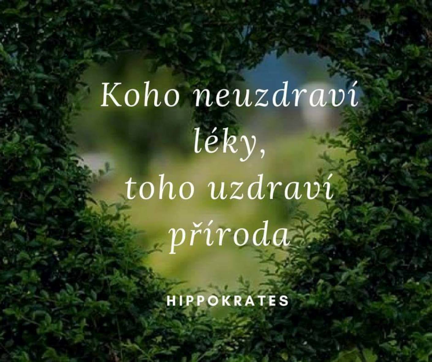 Koho neuzdravia lieky, toho uzdraví príroda