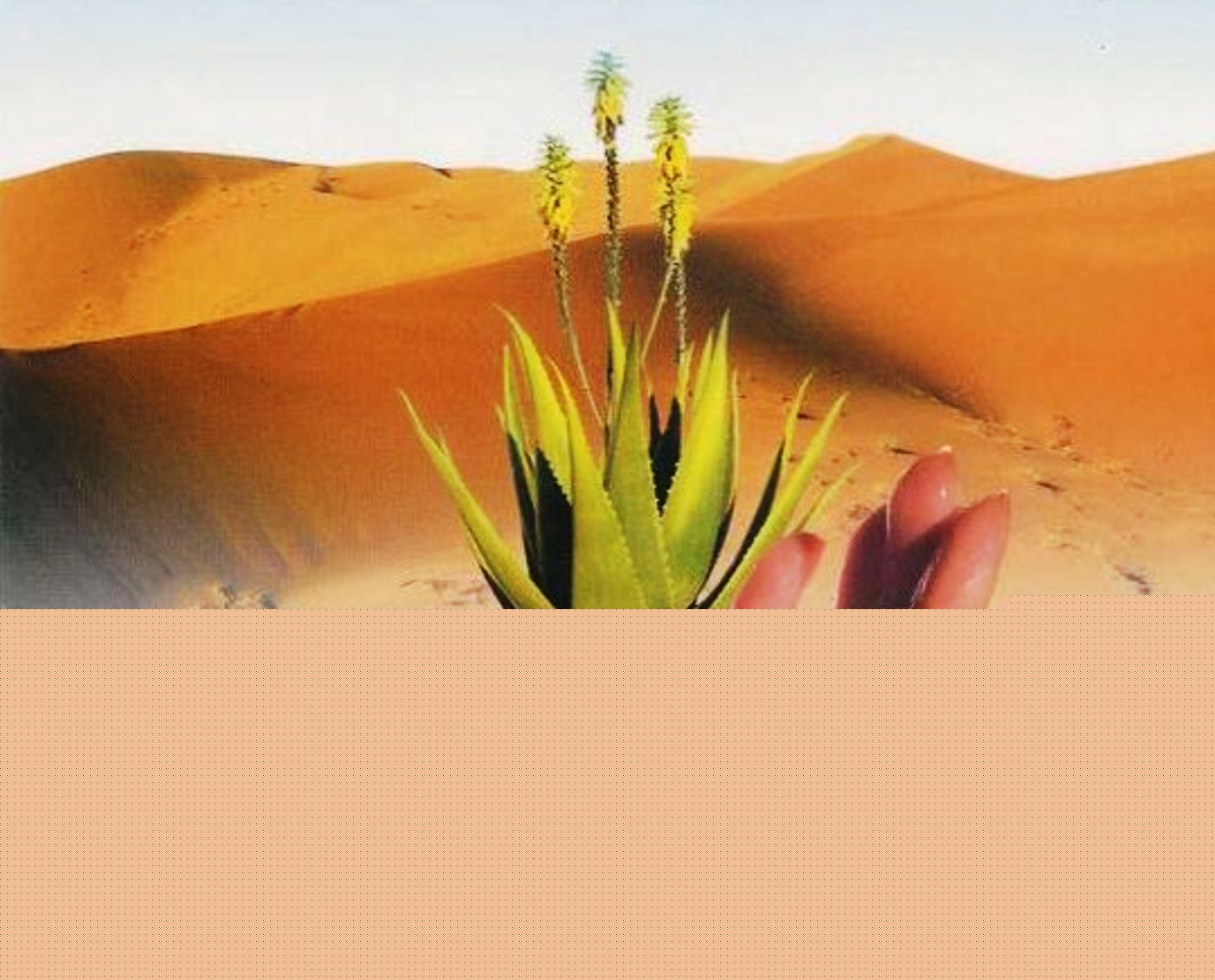 aloe forever 2