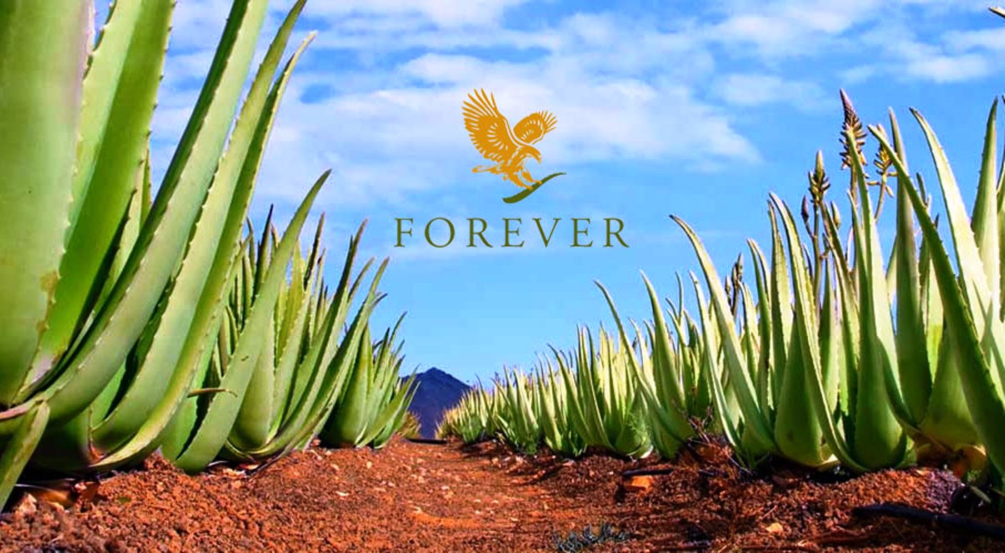 Aloe Forever Living - VR - Aloepriroda