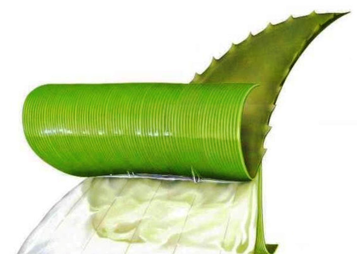 aloe list