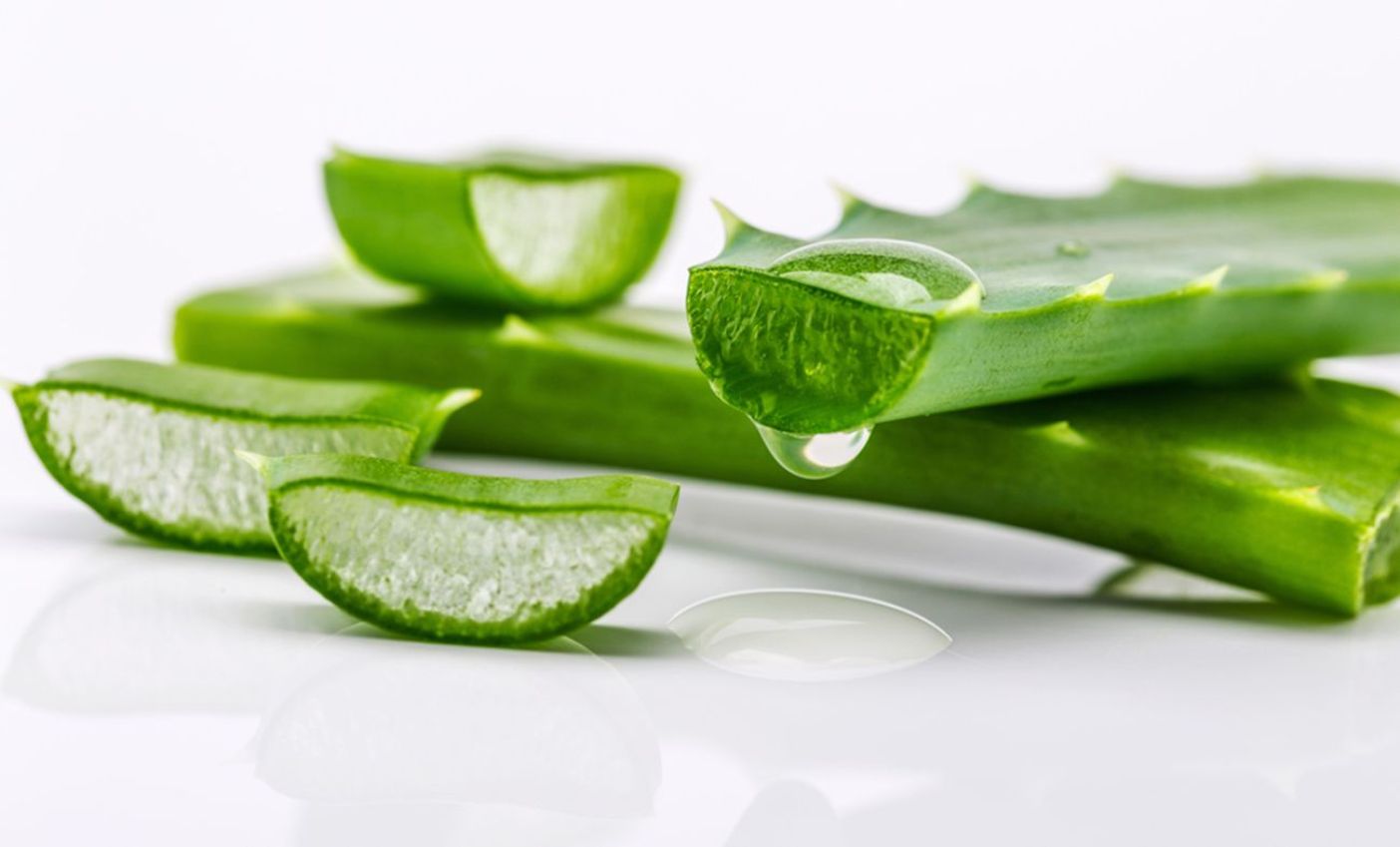 Aloe rastlina - listy s kvapkami