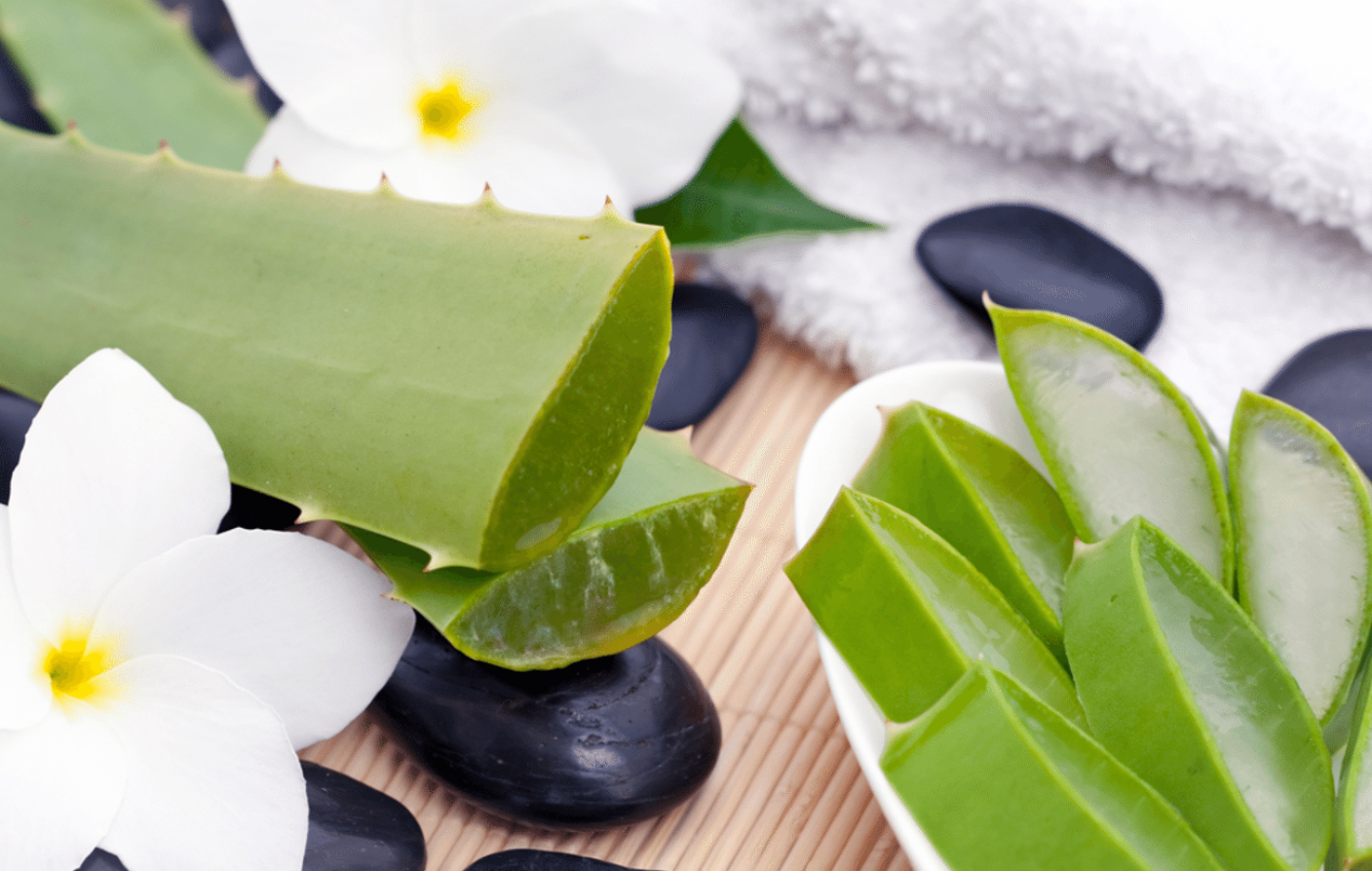 aloe v kozmetike